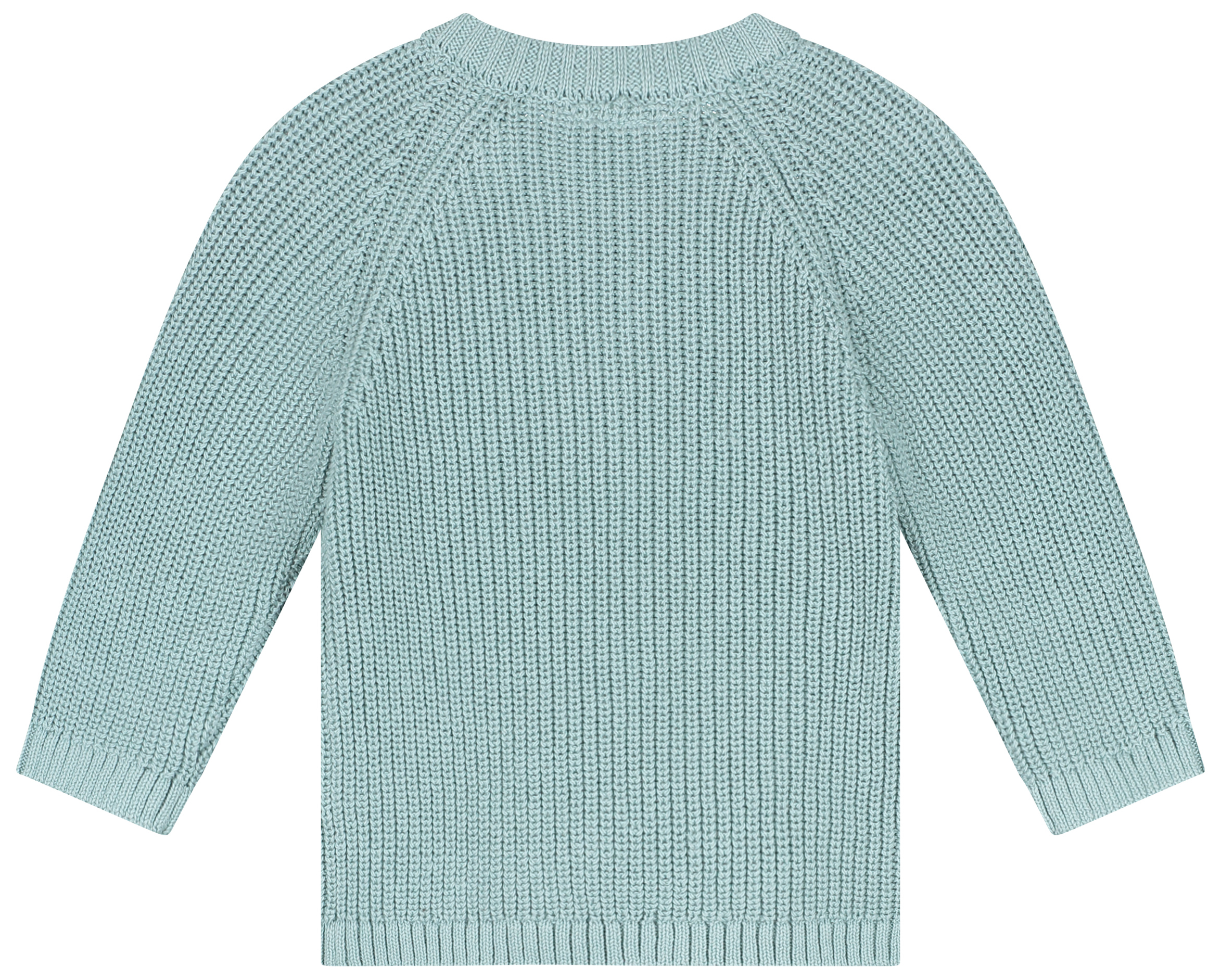 Babyface Baby Boy Pullover sky