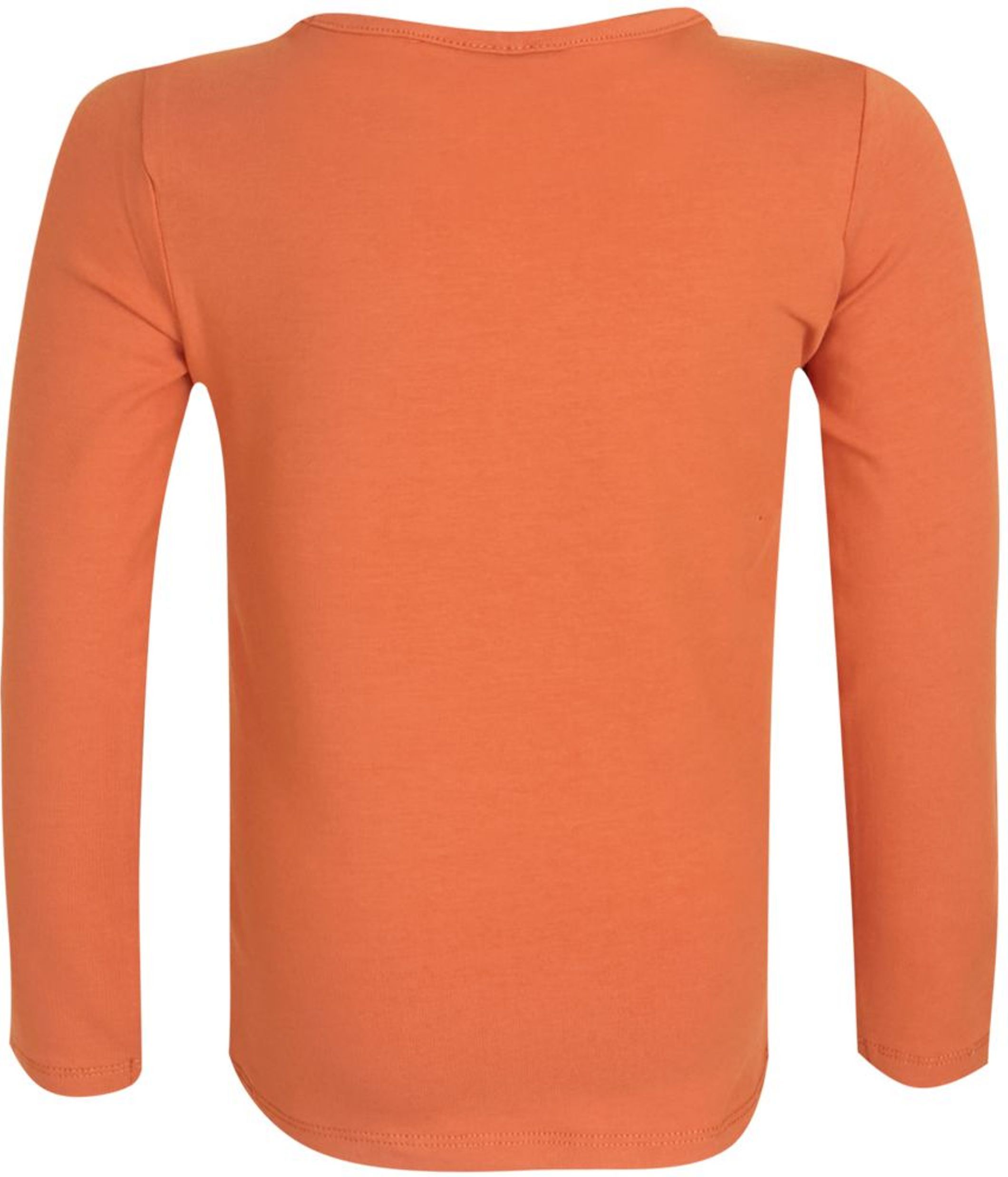 Someone T-Shirt Langarm Burnt Orange