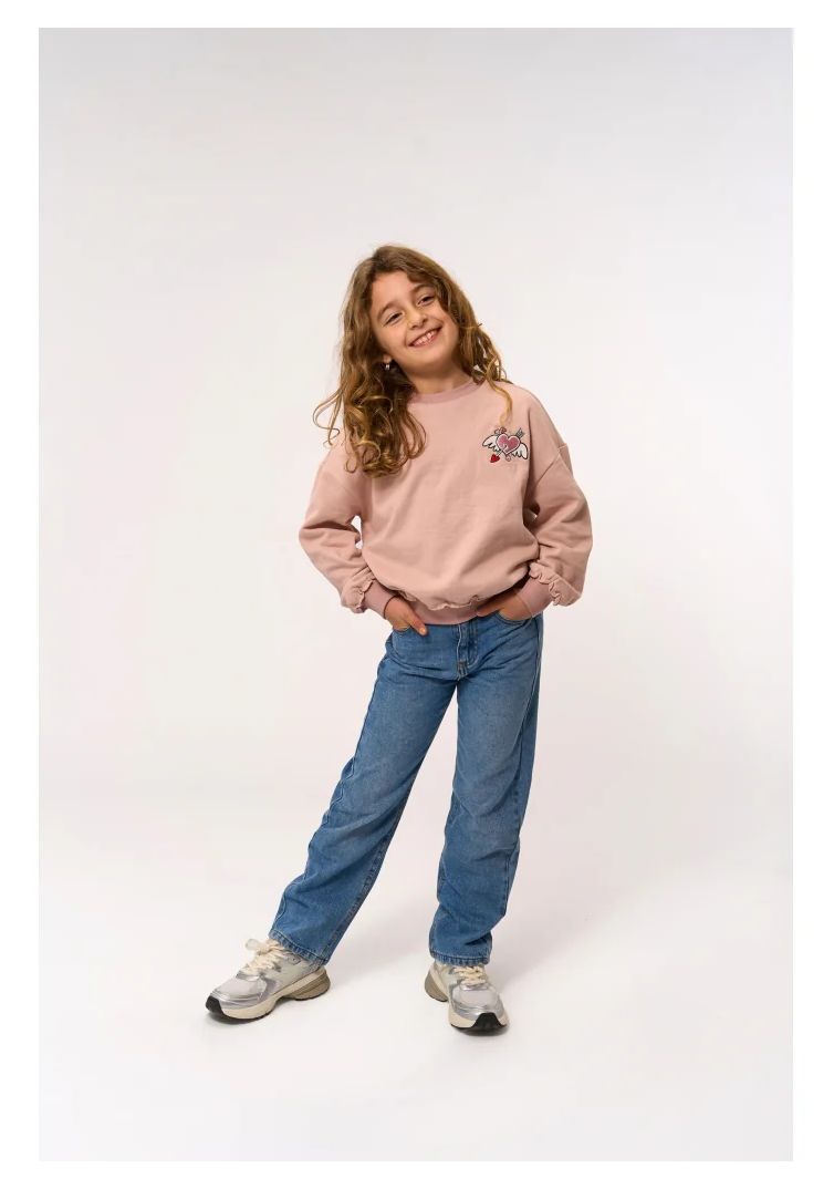 The New Girl Jeans Straight denim