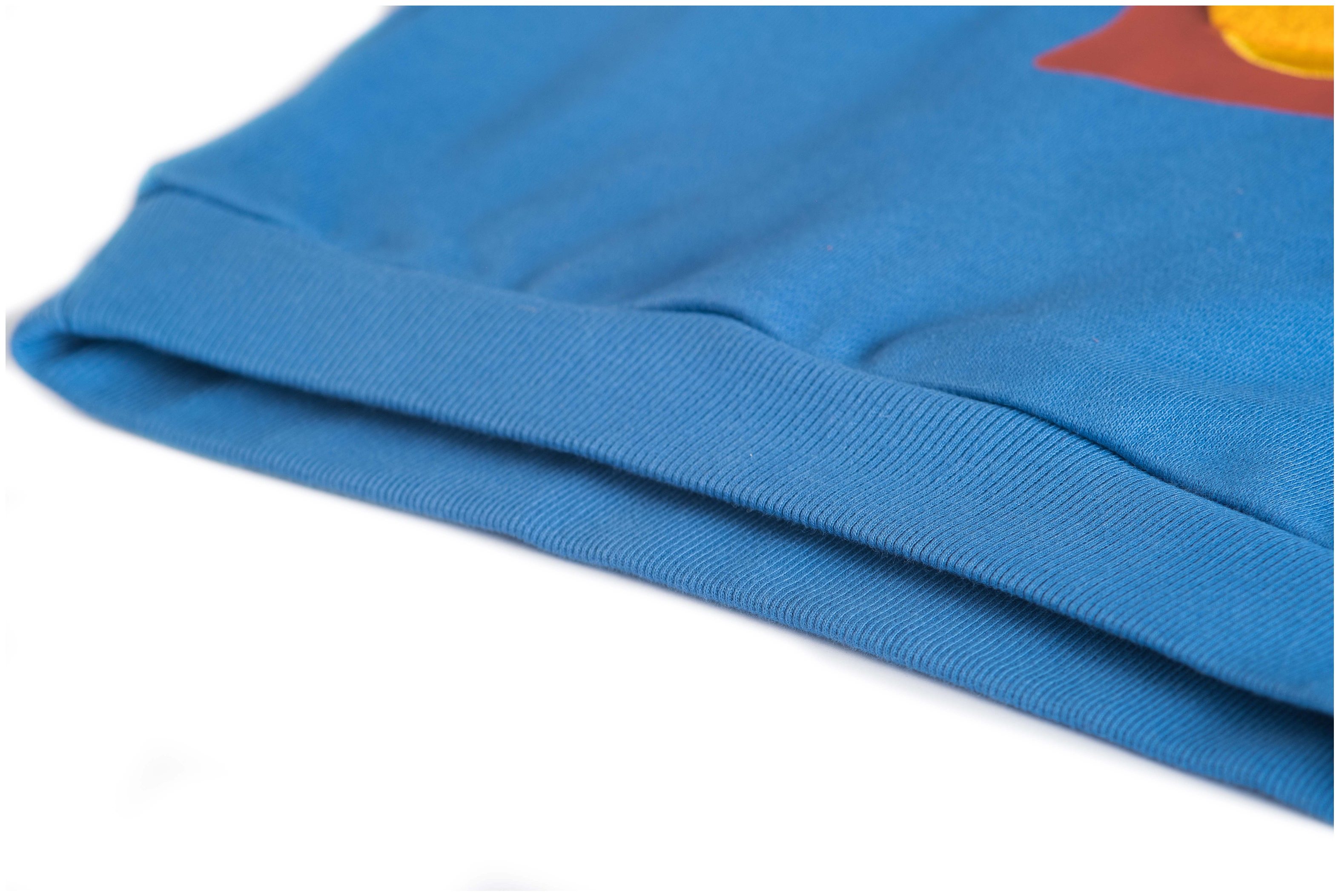 Someone Boy Kapuzenpullover Chips blue