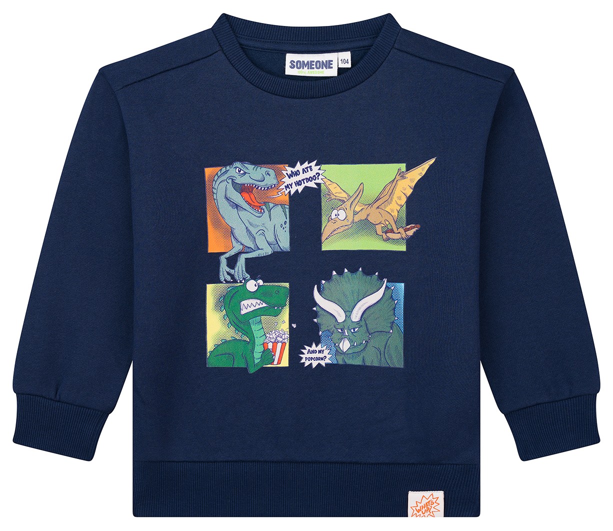 Someone Boy Sweatshirt Dino Comic navy