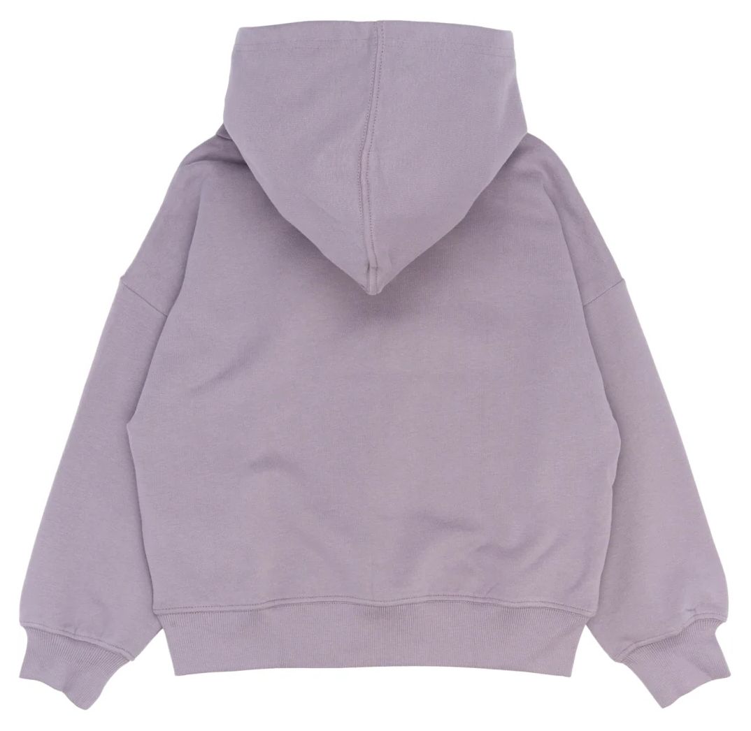 The New Girl Kapuzenpullover Gray Ridge