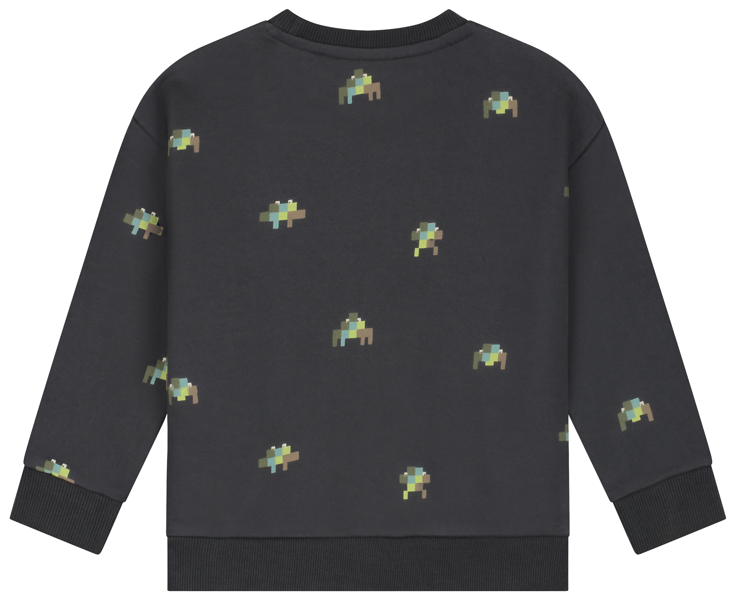 Babyface Boy Sweatshirt antra