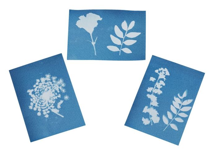 Moses Blatt- und Blütenpresse