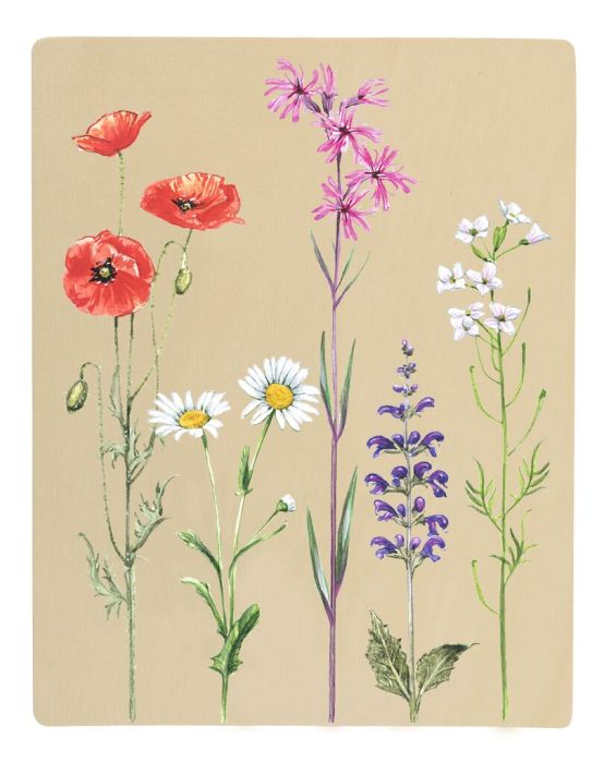 Moses Blatt- und Blütenpresse