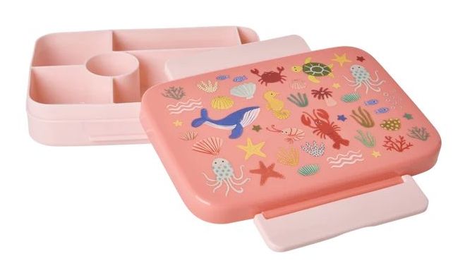 Rice Lunchbox 6er Einteilung Ocean Coral