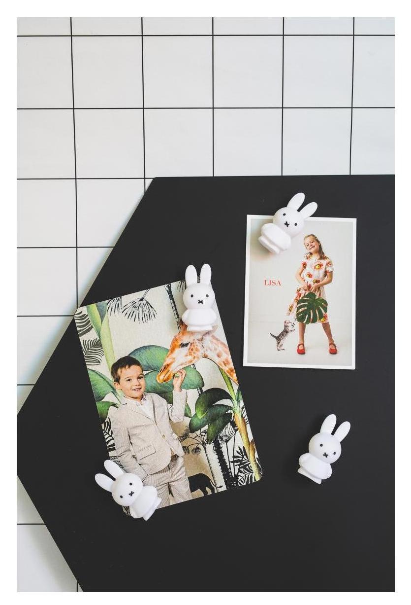 Atelier Pierre Magnete Miffy pure 4.6 cm
